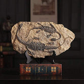 Resin Dinosaur Fossil 4